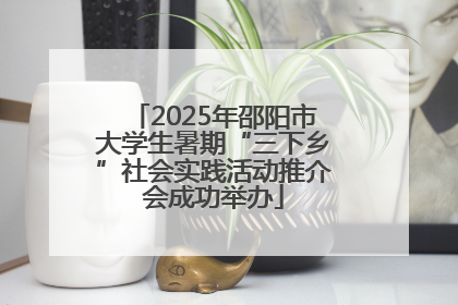 2025年邵阳市大学生暑期“三下乡”社会实践活动推介会成功举办