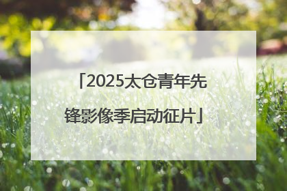 2025太仓青年先锋影像季启动征片