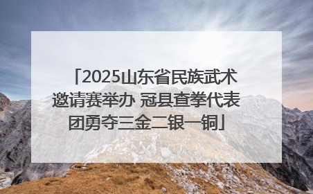 2025山东省民族武术邀请赛举办 冠县查拳代表团勇夺三金二银一铜