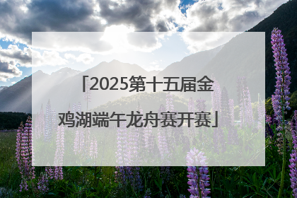 2025第十五届金鸡湖端午龙舟赛开赛
