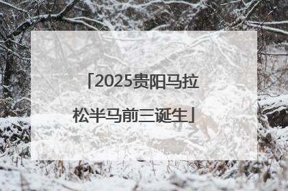 2025贵阳马拉松半马前三诞生