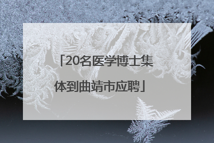 20名医学博士集体到曲靖市应聘