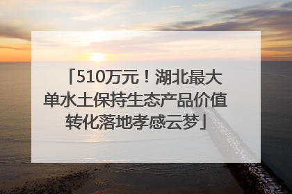 510万元！湖北最大单水土保持生态产品价值转化落地孝感云梦