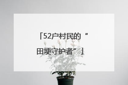 52户村民的“田埂守护者”