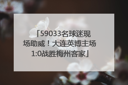 59033名球迷现场助威！大连英博主场1:0战胜梅州客家