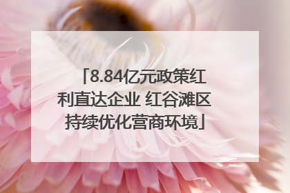 8.84亿元政策红利直达企业 红谷滩区持续优化营商环境