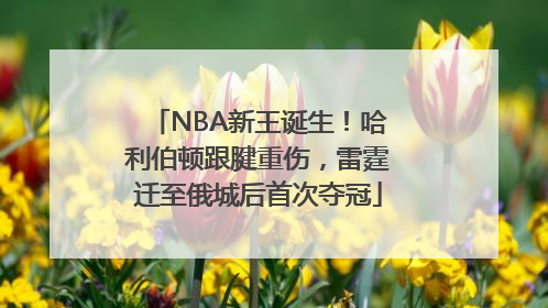 NBA新王诞生！哈利伯顿跟腱重伤，雷霆迁至俄城后首次夺冠